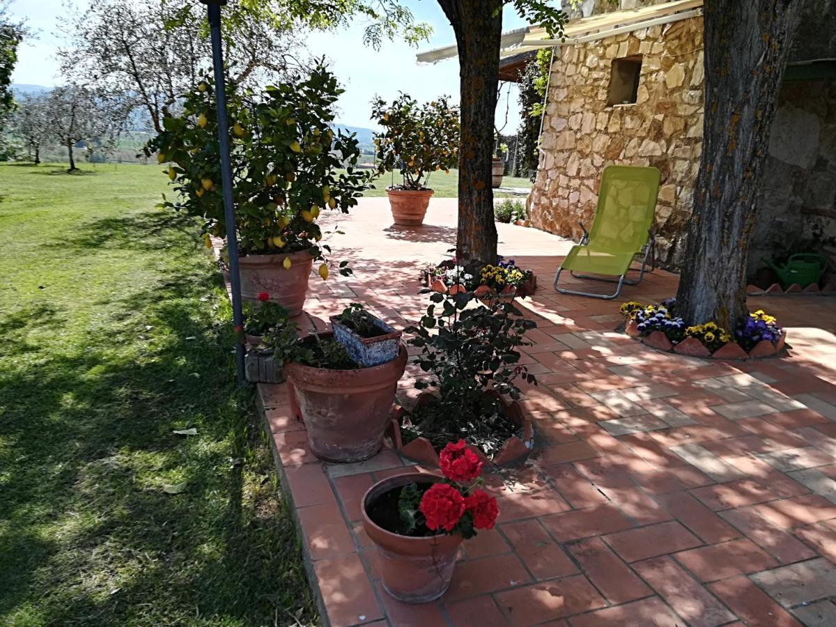 Appartement Casa In Collina à Sienne Extérieur photo